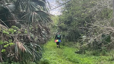 Recent trail photo 6