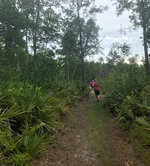 Recent trail photo 17